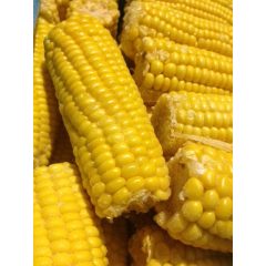 Gyorsfagyasztott csöves kukorica (10kg/karton)