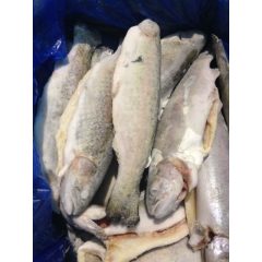 Gyorsfagyasztott egész pisztrángok (5kg/karton)